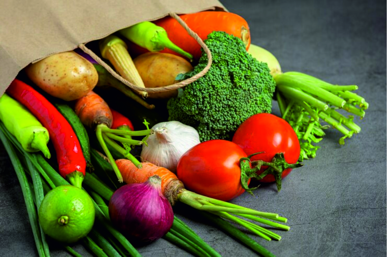 https://www.bsebeam.com/wp-content/uploads/2025/06/FINAL-BSE-E-Agricultural-Markets-Ltd.-BEAM1.jpg