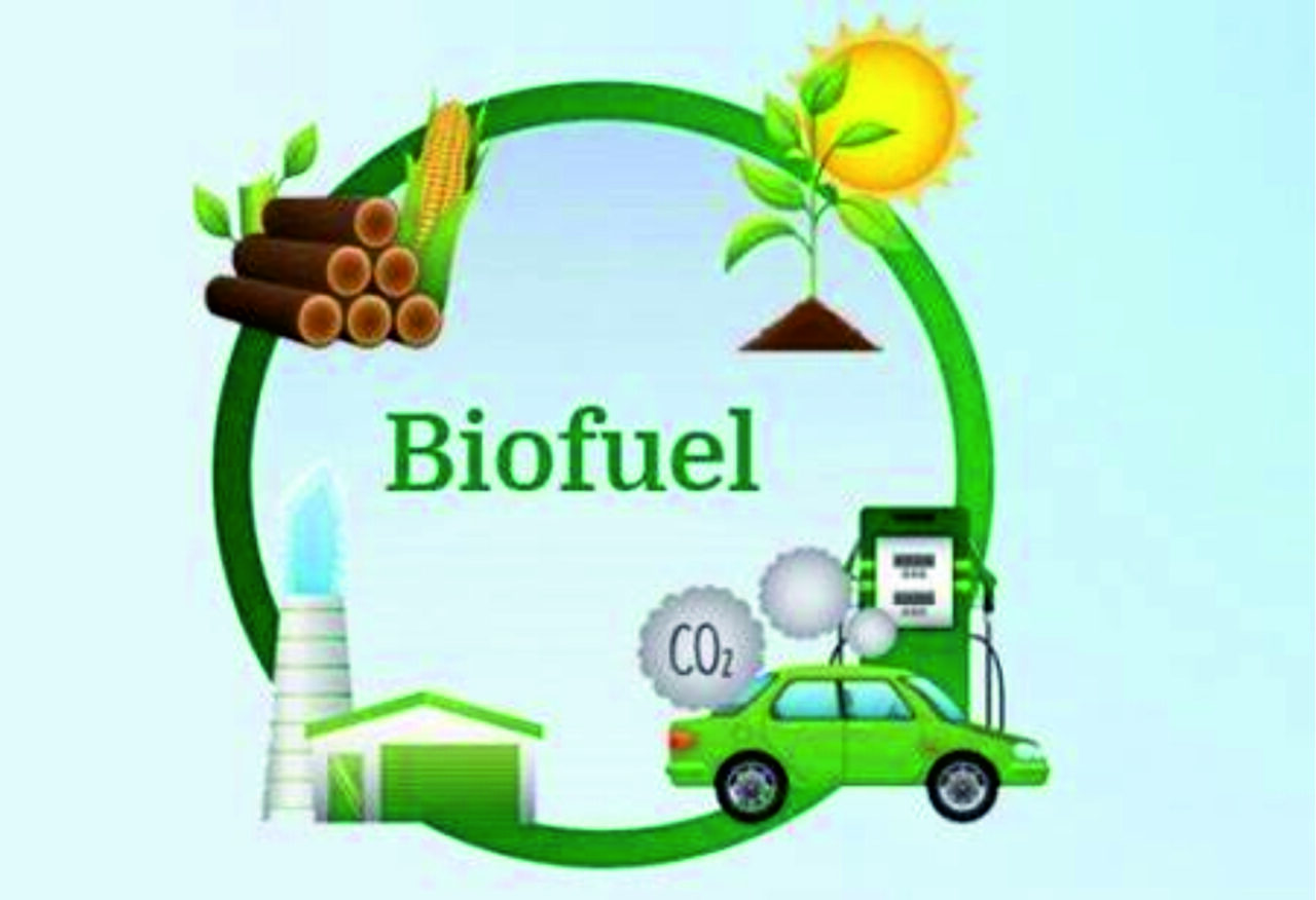 https://www.bsebeam.com/wp-content/uploads/2025/06/FINAL-BSE-E-Agricultural-Markets-Ltd.-BEAM5-1280x876.jpg