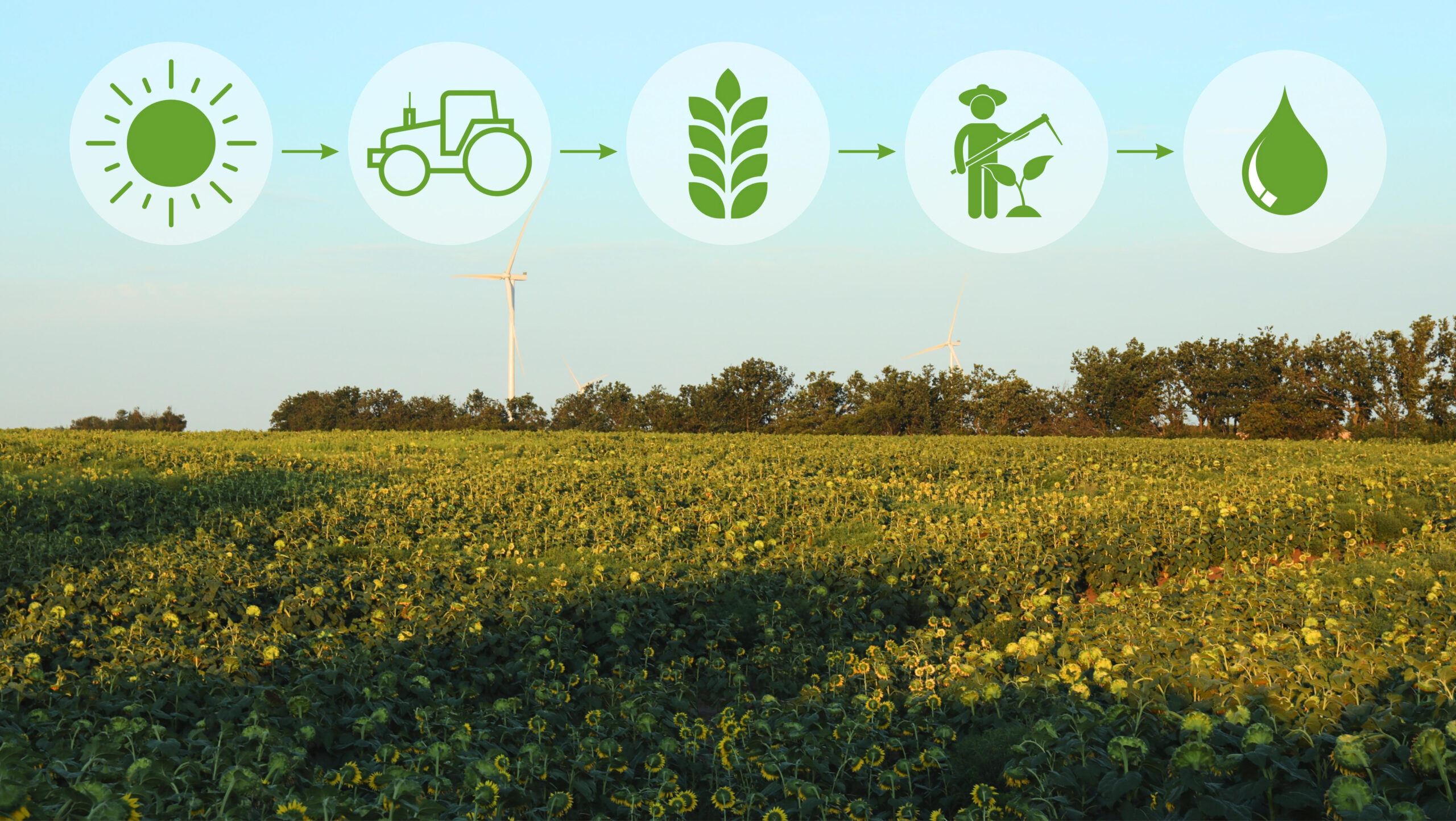 Image with field and windmill for agricultural concept